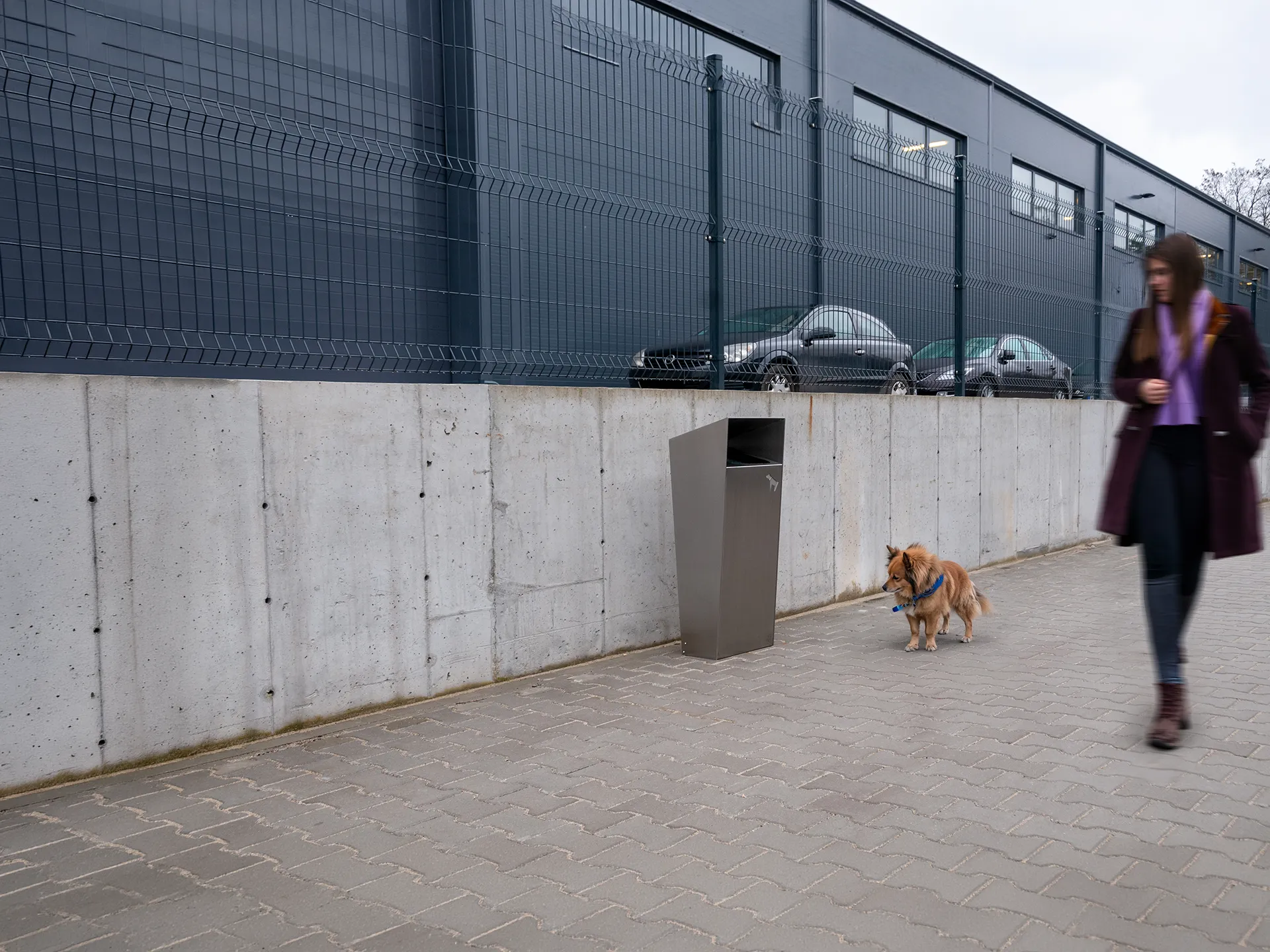 papperskorg för hundavföring