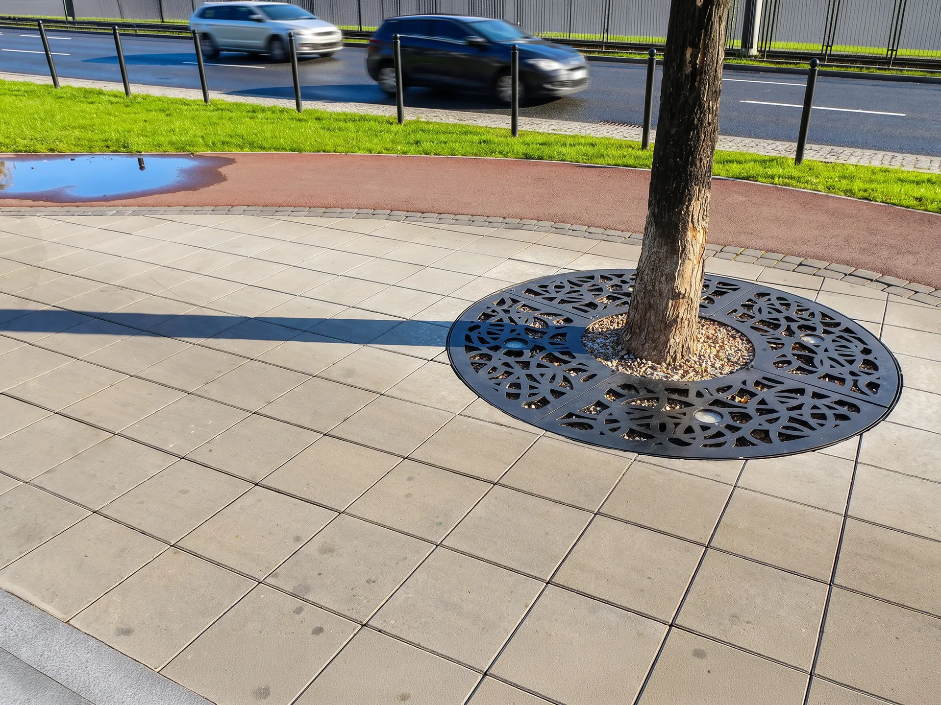 träd som skärmar av trottoaren vid vägen