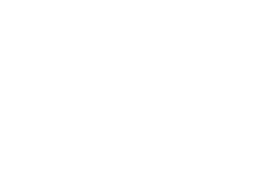 logo plus