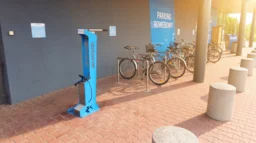 decathlon